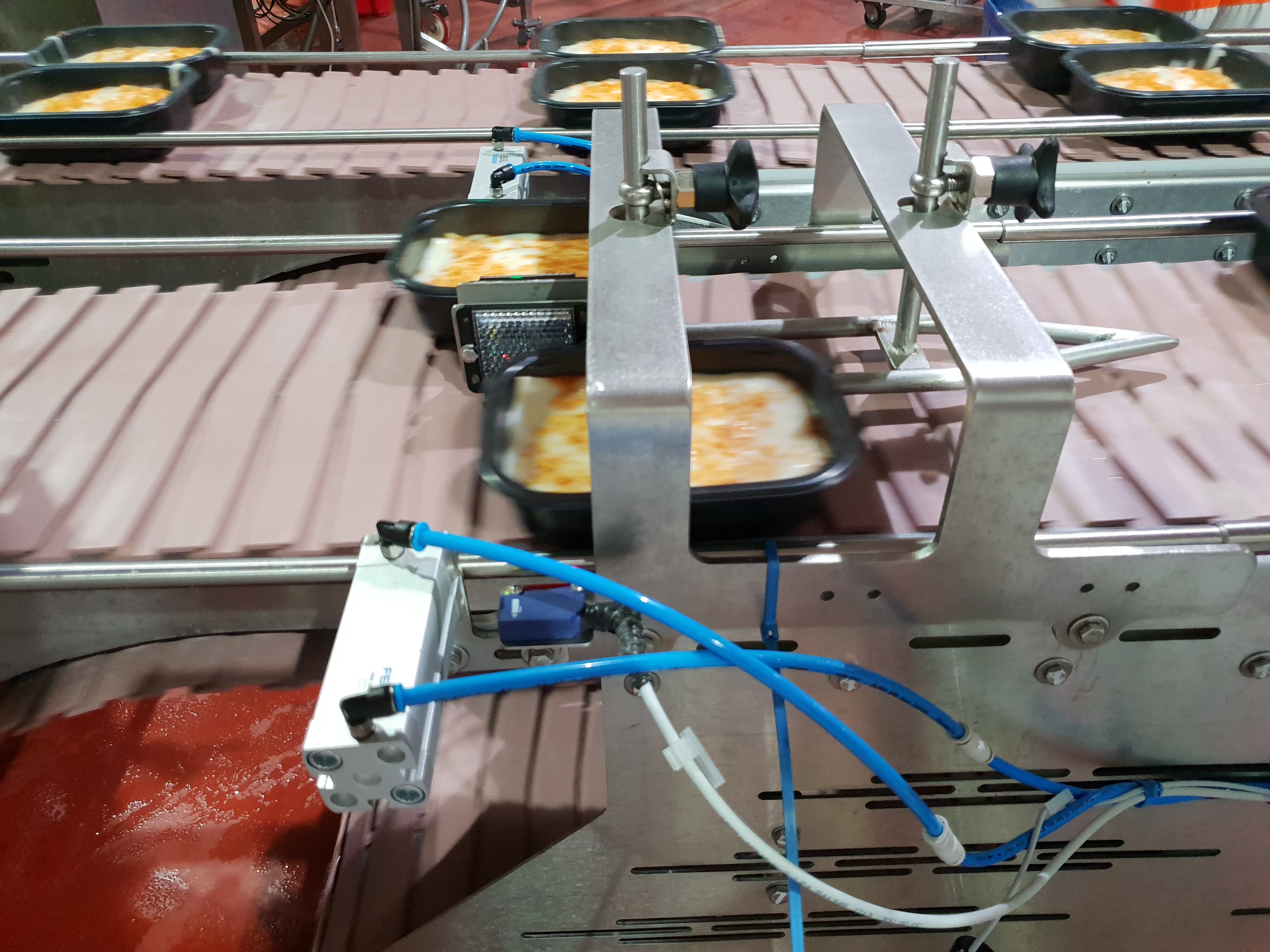 Lasagna trays passing through stainless-steel guide bars on the alignment conveyor