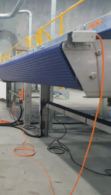 Wide view of a stainless conveyor line being commissioned in a food processing plant, switchboards in the background